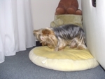 20061006_11.jpg