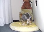 20061006_12.jpg