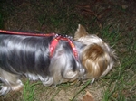 20061018_1.jpg