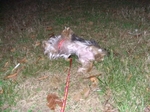 20061018_4.jpg