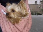 20070304_2.jpg