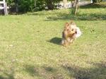 20070519_7.jpg
