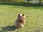 20070519_8.jpg