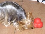 20070701_12.jpg