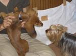 20070701_17.jpg