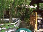 20070707_26.jpg