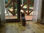 20080719_12.jpg