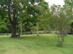 20090711_16.jpg
