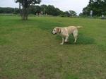20090711_17.jpg