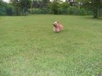20090711_23.jpg