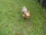 20090711_33.jpg