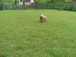 20090711_36.jpg