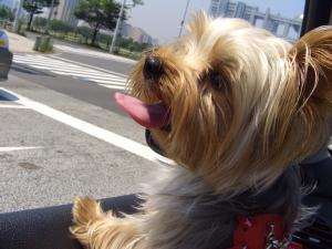 20060805_1.jpg