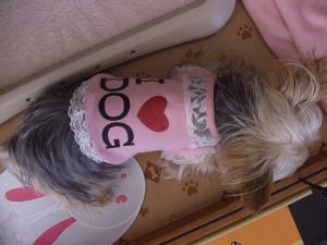 20060805_11.jpg
