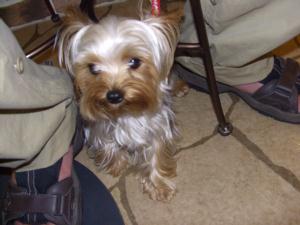 20060805_9.jpg
