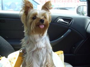 20060816_1.jpg