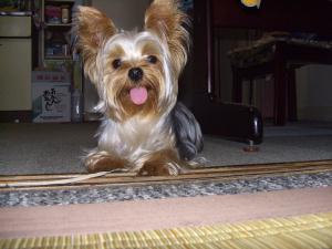 20060816_5.jpg
