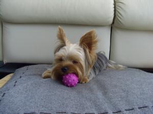 20060820_4.jpg