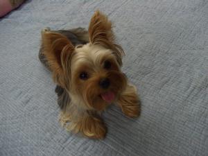 20060821.jpg