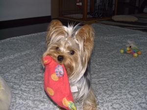 20060930_1.jpg