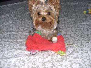 20060930_2.jpg