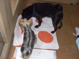 20061001_7.jpg