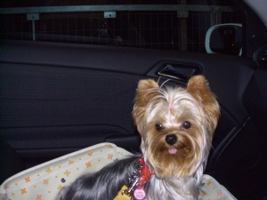 20061005.jpg