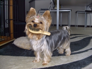 20061006_5.jpg