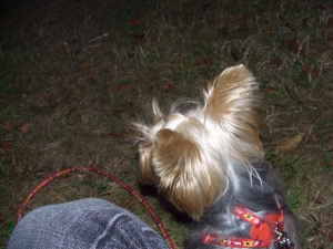 20061018_6.jpg