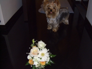 20061028.jpg
