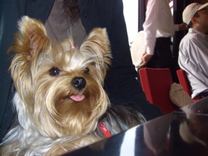 20061028_3.jpg