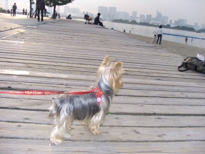 20061028_4.jpg