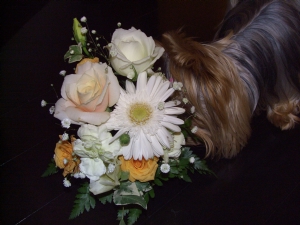 20061029.jpg
