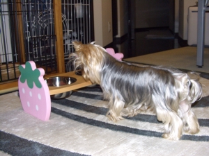 20061105_3.jpg