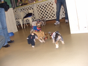 20061126_1.jpg