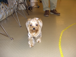 20061126_10.jpg
