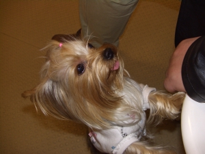 20061126_12.jpg