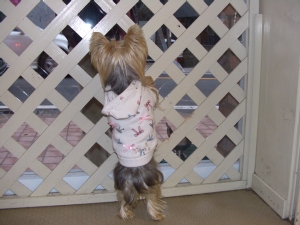 20061126_16.jpg