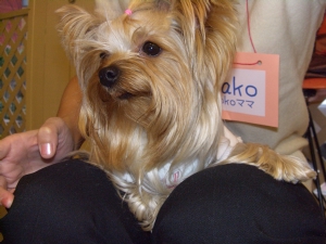 20061126_17.jpg