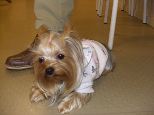 20061126_19.jpg