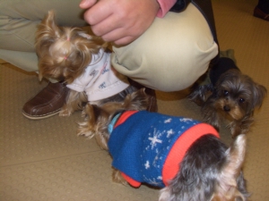 20061126_21.jpg