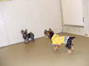 20061126_5.jpg