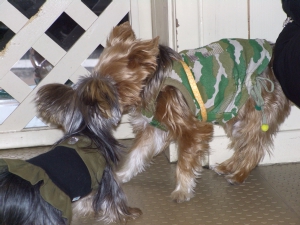 20061126_6.jpg