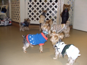 20061126_6.jpg