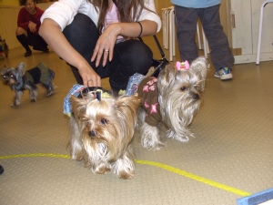 20061126_8.jpg