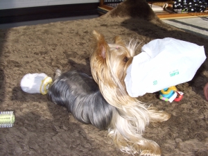 20061208_3.jpg
