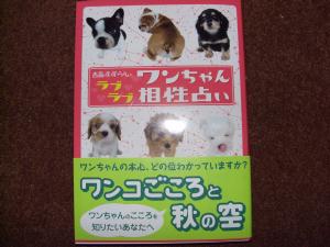 20061220_28.jpg