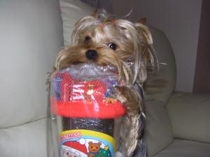 20061224_4.jpg