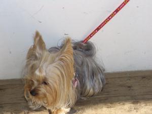 20070207_1.jpg