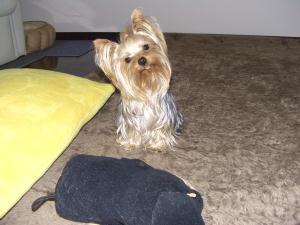 20070323.jpg